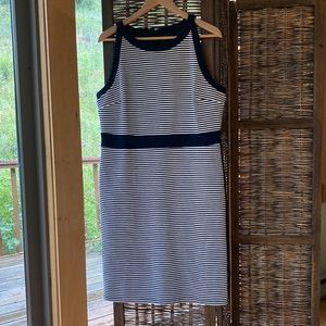 Ann Taylor Striped Stretch Dress